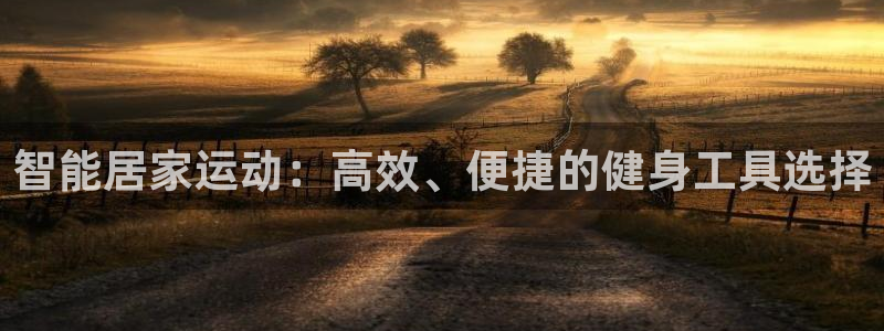 球王会体育官方正版app娱乐是那个系列的台子:智能居家运动: