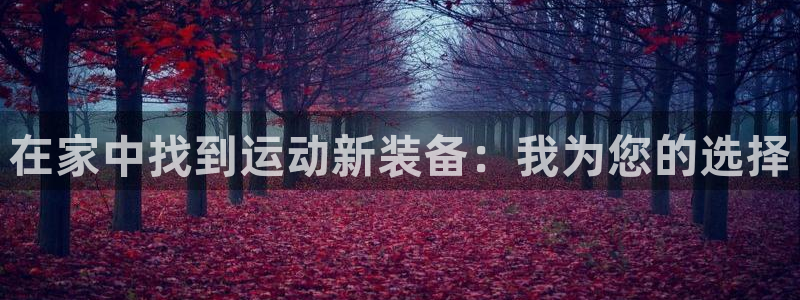 球王会体育官方正版app集团官网首页:在家中找到运动新装备: