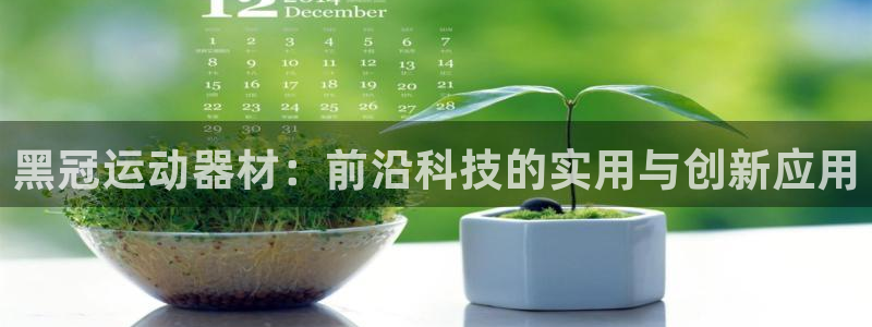 球王会体育官方正版app集团官网首页:黑冠运动器材:前沿科技